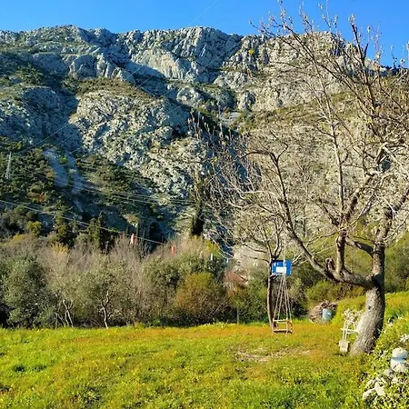 Апартаменты Sun